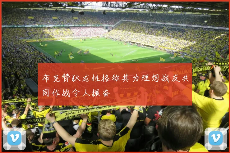 布克赞狄龙性格称其为理想战友共同作战令人振奋